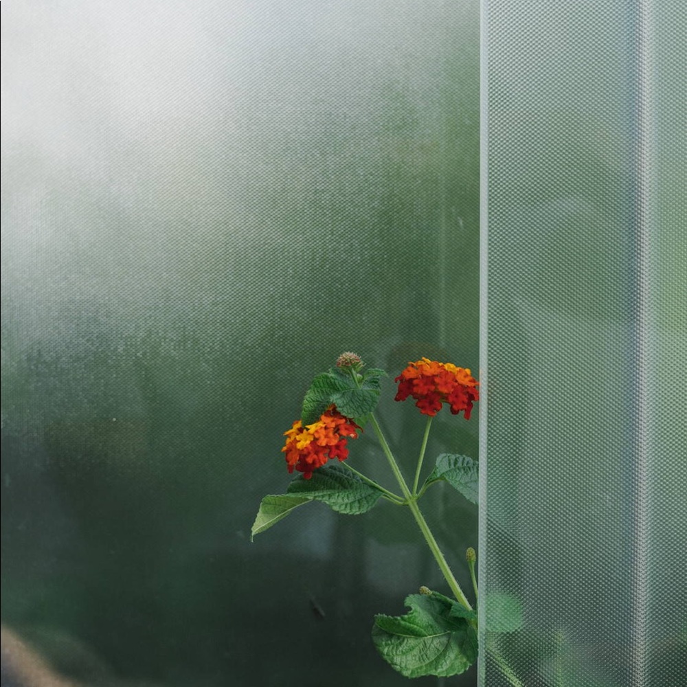 Meet your Posher, Kaity